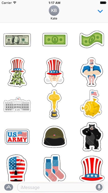 USA Icon Sticker