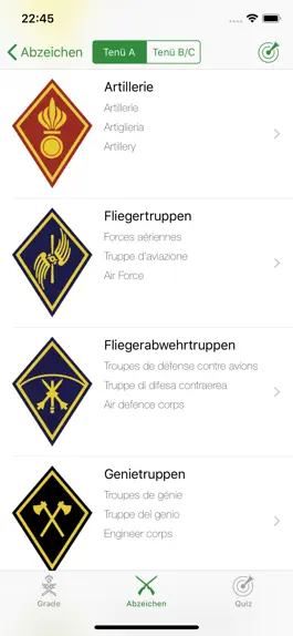 Game screenshot Abzeichen der Schweizer Armee hack