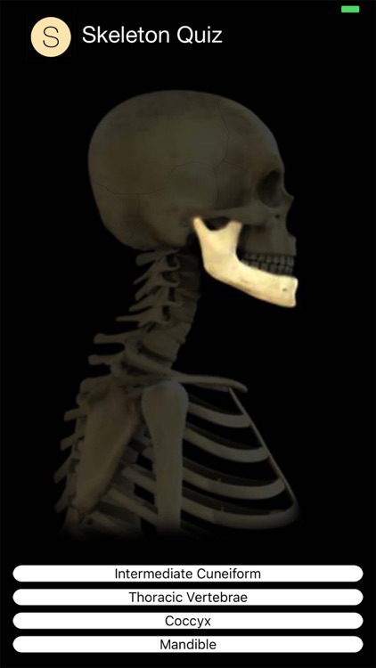 Skeleton Quiz