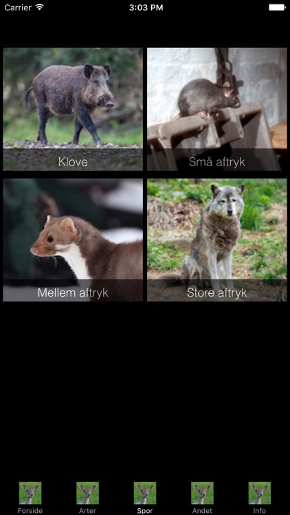 DyreApp screenshot-3