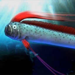 oarfish and deep-sea fish