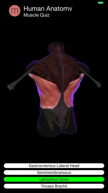 Muscle Quiz screenshot-4