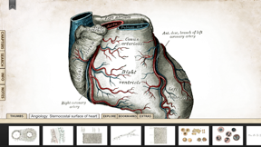 Grays Anatomy Premium Edition screenshot
