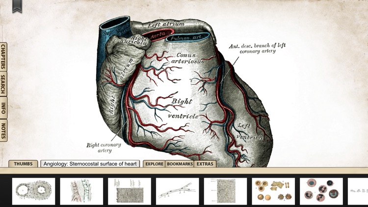 Grays Anatomy Premium Edition screenshot-4