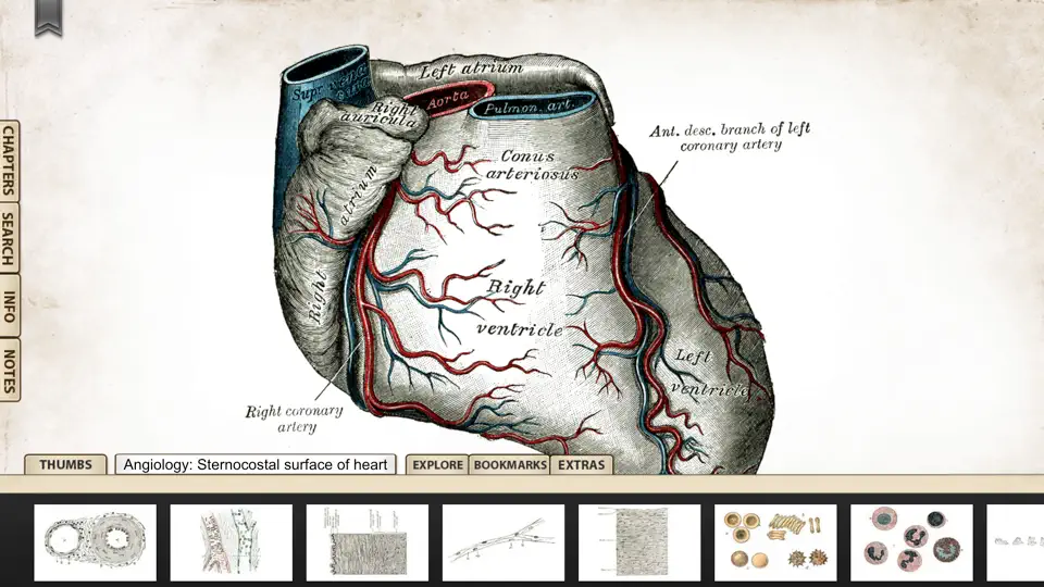 Скриншот Grays Anatomy Premium Edition на iPhone 5