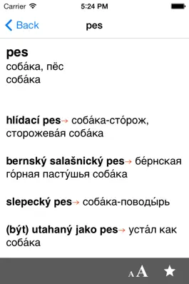 Game screenshot Czech-Russian dictionary hack