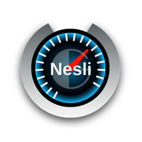 NesliNET - İnternet Hız Testi