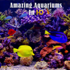 Richard Foster - Amazing Aquariums In HD アートワーク