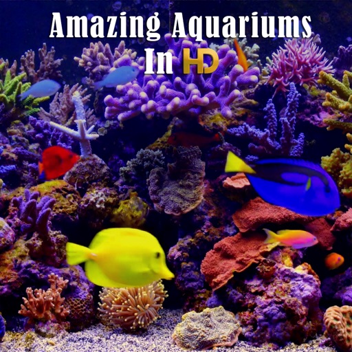 Amazing Aquariums In HD icon