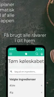 mad for fattigrøve af fie iphone screenshot 4