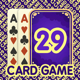 29 Card Game * PLUS