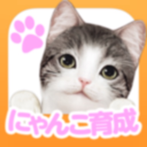てのひらニャンコ【スマホでにゃんこ育成】