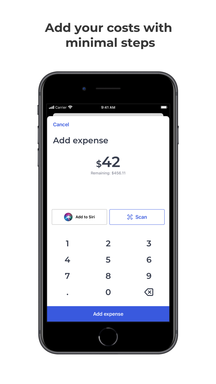 Budget Expense Tracker