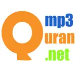 MP3Quran App Problems