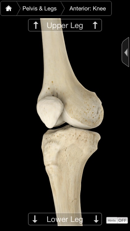 Skeleton System Pro III-iPhone screenshot-3