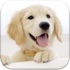 Dog Pairs - Match puppies! icon
