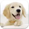 Dog Pairs - Match puppies! App Delete