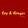 Soy & Ginger Wok Grill