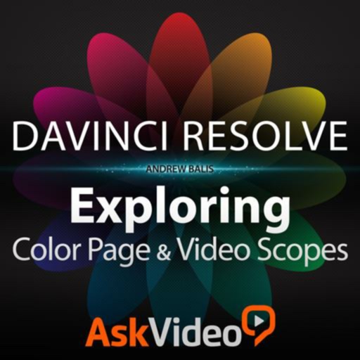 Color Page and Video Scopes icon