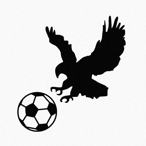 Get Beşiktaşım for iOS, iPhone, iPad Aso Report