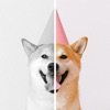 Colourr – colorize B&W photos icon