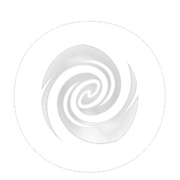 Vortic