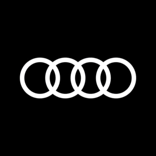 Audi eTwin Cup icon