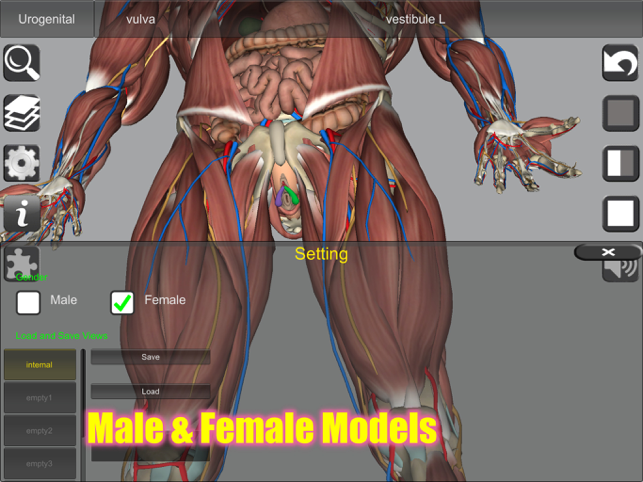 ‎Tampilan Layar Anatomi 3D