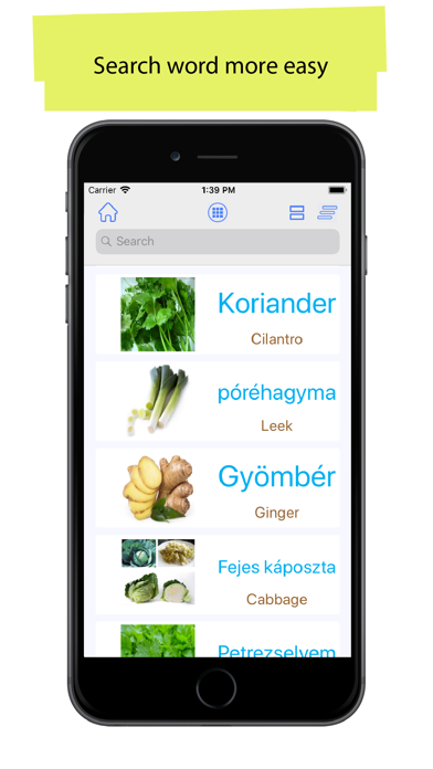 Hungarian 90000 Word & Picture Screenshot