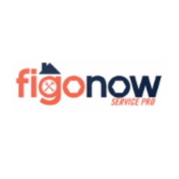 FigoNOW Pro
