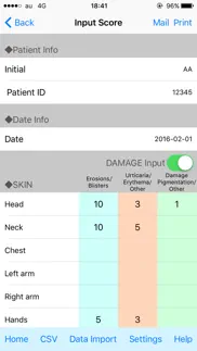 類天疱瘡重症度スコア(bpdai) problems & solutions and troubleshooting guide - 2