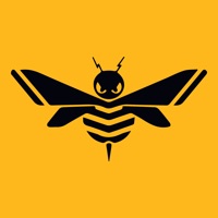 Bumblebee Security Home