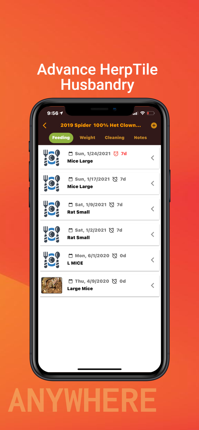 HerpVille Reptile Keep and Trade
