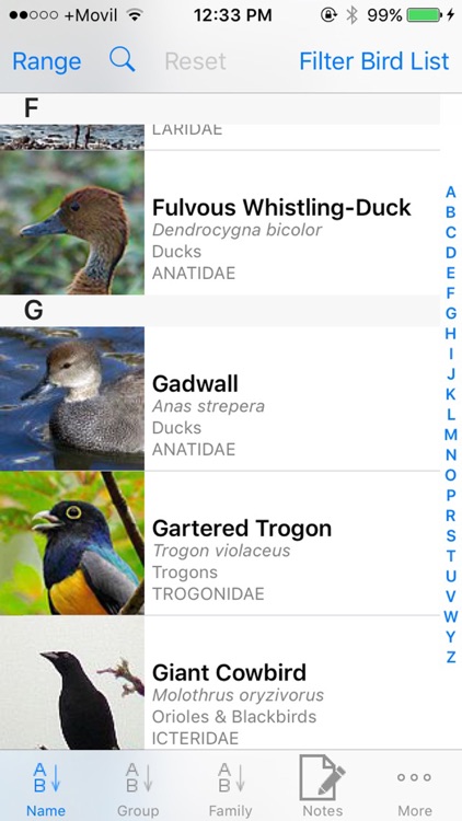 Belize Birds Field Guide