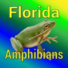Florida Amphibians - Guide to Common Species