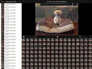 ICam - Webcam Video Streaming ipad bilder 2