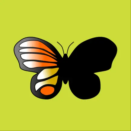 Shapes of Butterflies Cheats