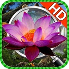 Hidden Objects:Hidden Object Wonderful World