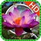 Hidden Objects:Hidden Object Wonderful World is challenging game for all hidden friends