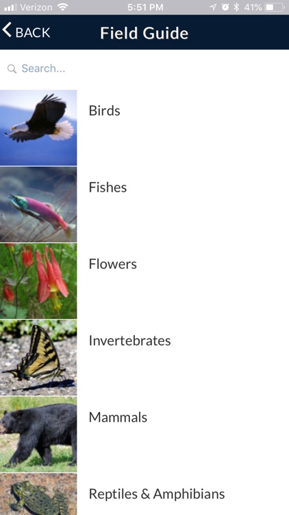 Tahoe Parks screenshot-3