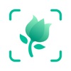PictureThis - identification de plantes pour le jardinage