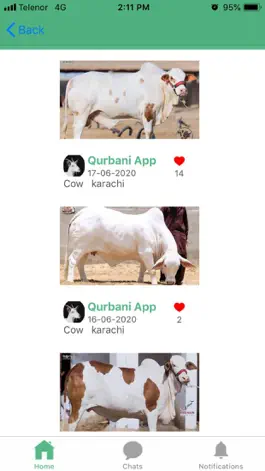 Game screenshot Qurbani App apk