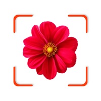 FindPlant - Plant ID pour PC