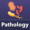 Pathology Exam Prep 2021 icon