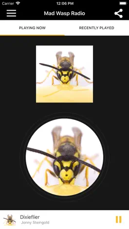 Game screenshot Mad Wasp Radio mod apk