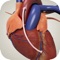 CABG Risk Calculator