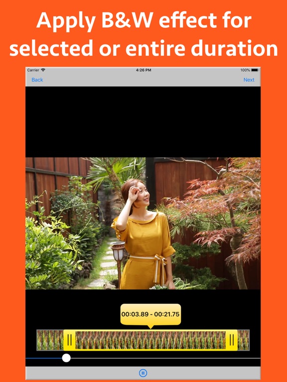 Screenshot #4 for B&W Video Maker