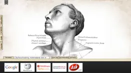 grays anatomy premium edition iphone resimleri 3