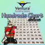 Hundreds Chart Deluxe