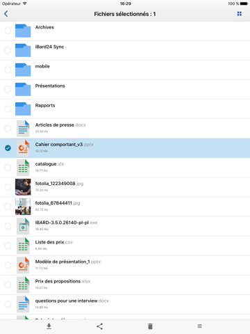 Screenshot #6 pour IBARD
